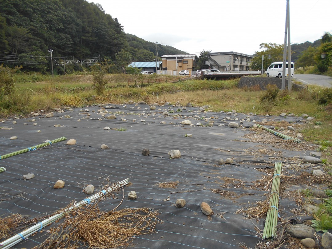 売買 物件、場所 長野県茅野市金沢 物件金額 0円 | 6400000 572 ㎡