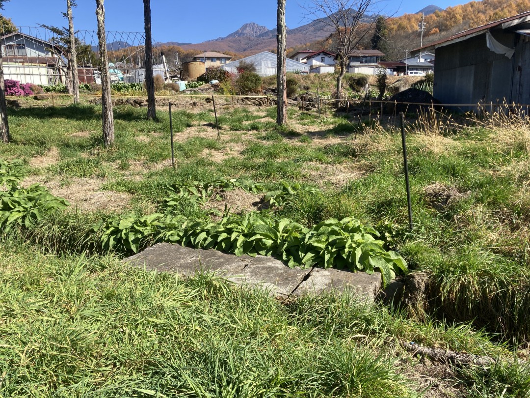 売買 物件、場所 長野県富士見町立沢， 物件金額 0円 | 4000000 698 ㎡