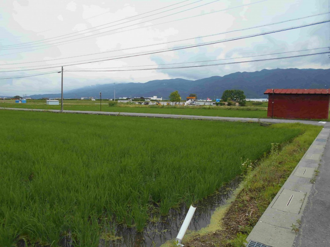 売買 物件、場所 長野県諏訪市大字四賀 物件金額 0円 | 21000000 1089 ㎡